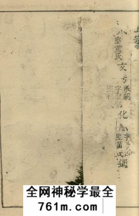 崇明叶氏宗谱不分卷