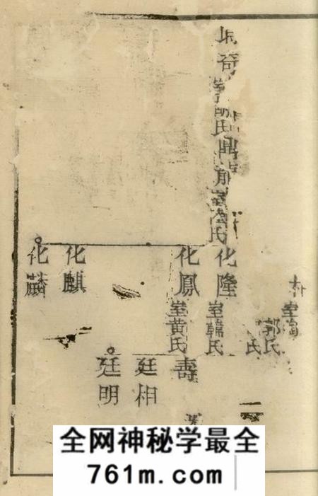 崇明叶氏宗谱不分卷