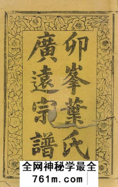 松阳卯峰广远叶氏宗谱十二卷
