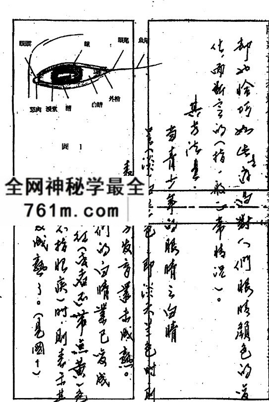 陈鼎龙中国手面相婚姻专题讲义.pdf79