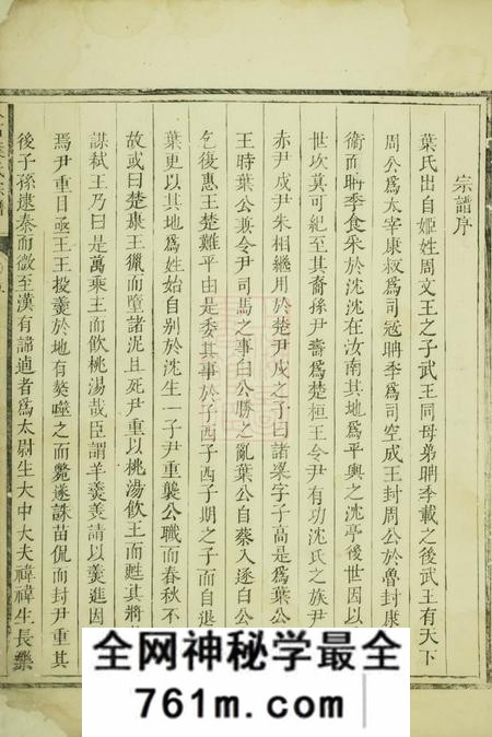 龙游八石叶氏宗谱不分卷