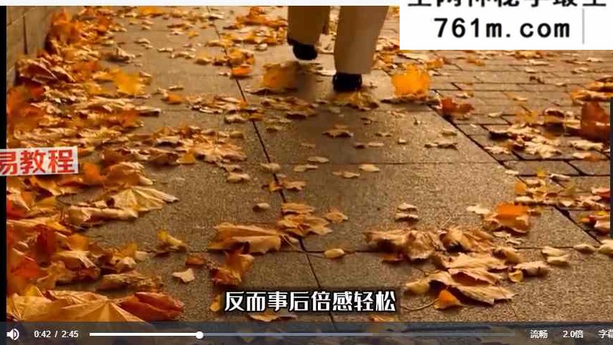 灵商密码 善音空间 视频2套+音乐99个