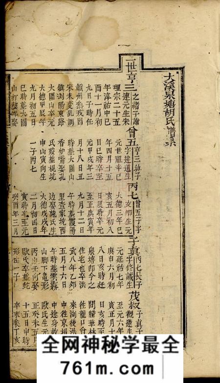 浏阳大溪泉塘胡氏谱系不分卷