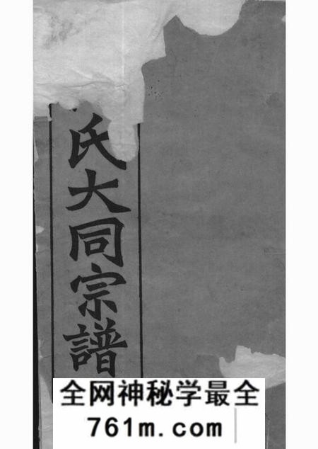 庐江庐江郡何氏大同宗谱二十六卷