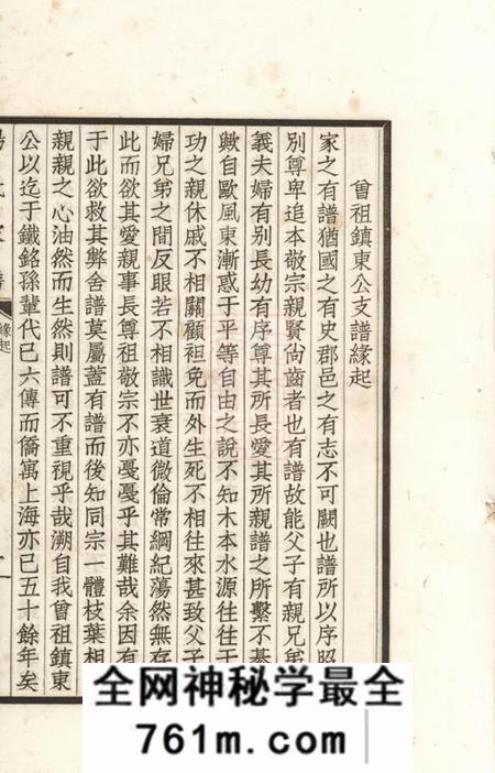 上海南关杨公镇东支谱不分卷