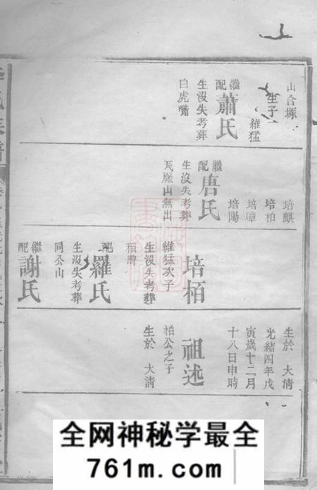武陵陇西堂武邑李氏族谱