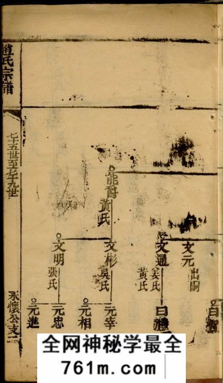 赵氏宗谱不分卷