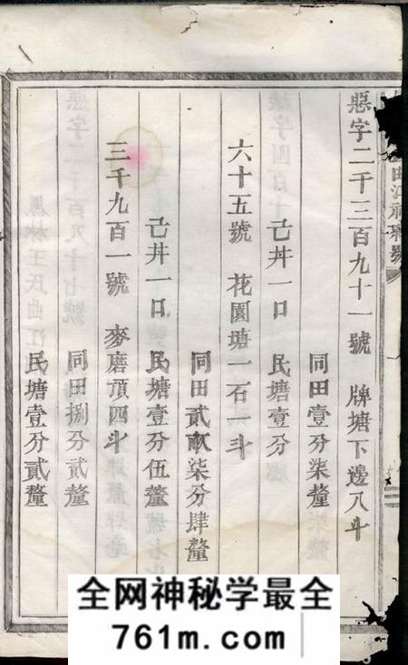 义乌凤林王氏曲江小谱不分卷