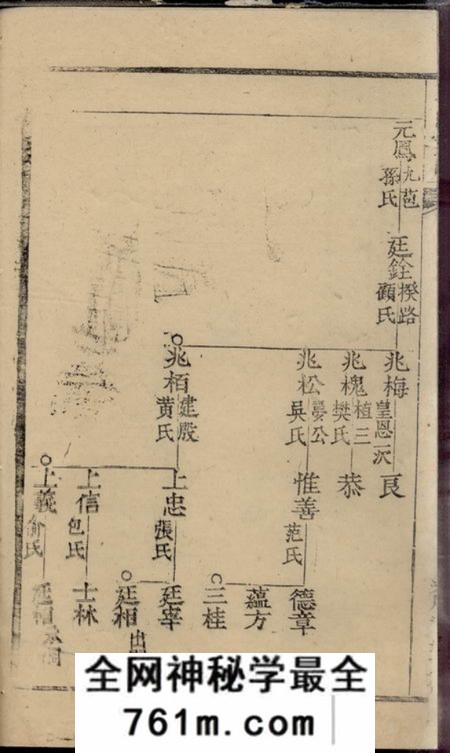 崇明王氏宗谱不分卷