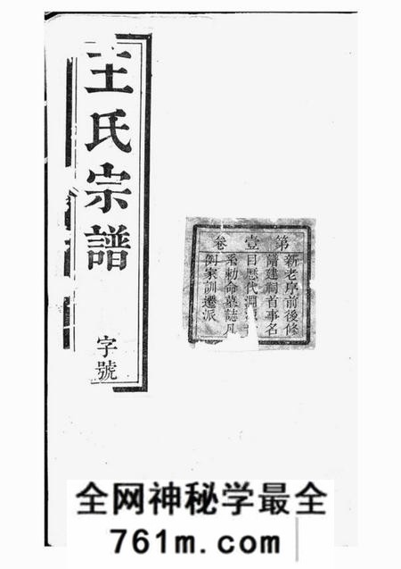 桐城崇孝堂皖桐王氏宗谱十八卷