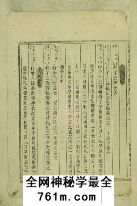 东阳东阳画溪王氏人派同房宗谱