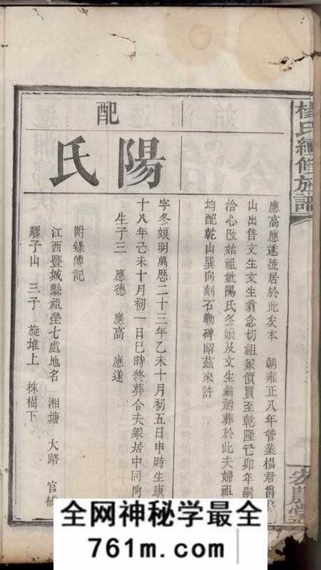 湘乡宏农堂扶塘杨氏续修族谱