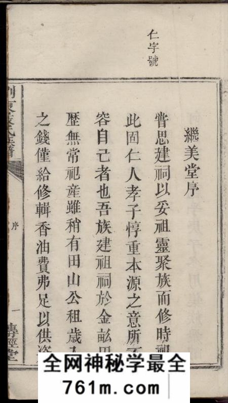 湖南浏阳传经堂浏东严氏族谱