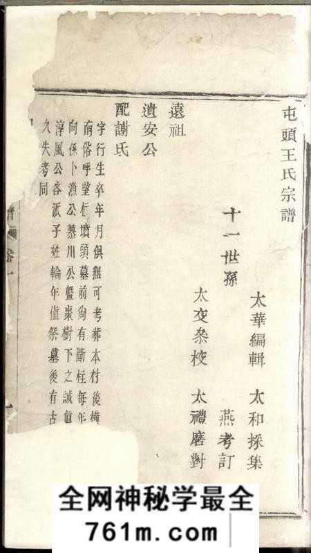屯头屯头王氏宗谱