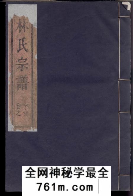 温州济南郡林氏宗谱不分卷