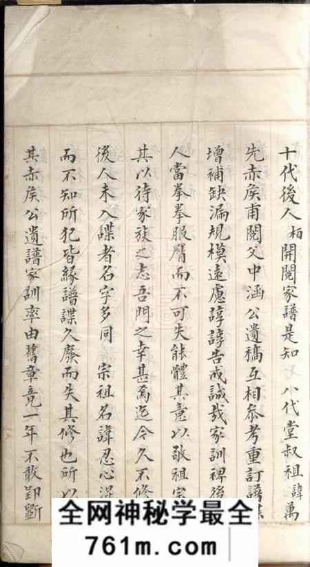 兴化杨氏谱谍不分卷