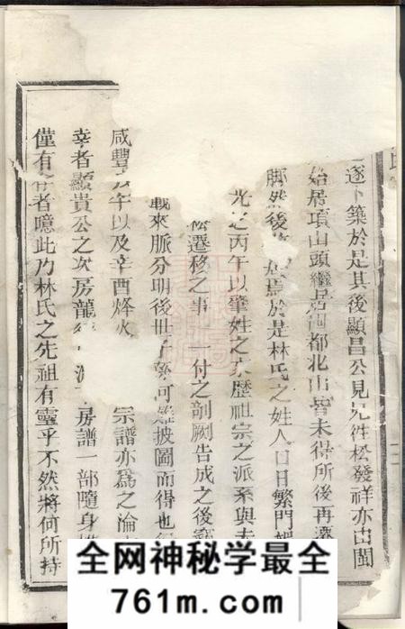 松阳济南林氏宗谱不分卷