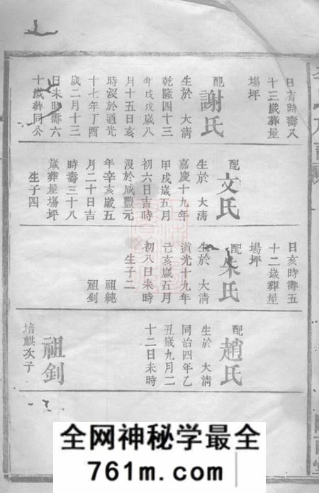 武陵陇西堂武邑李氏族谱