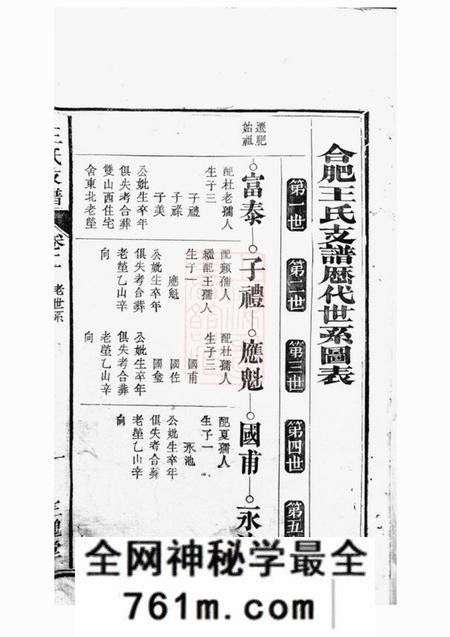 合肥三槐堂合肥王氏支谱