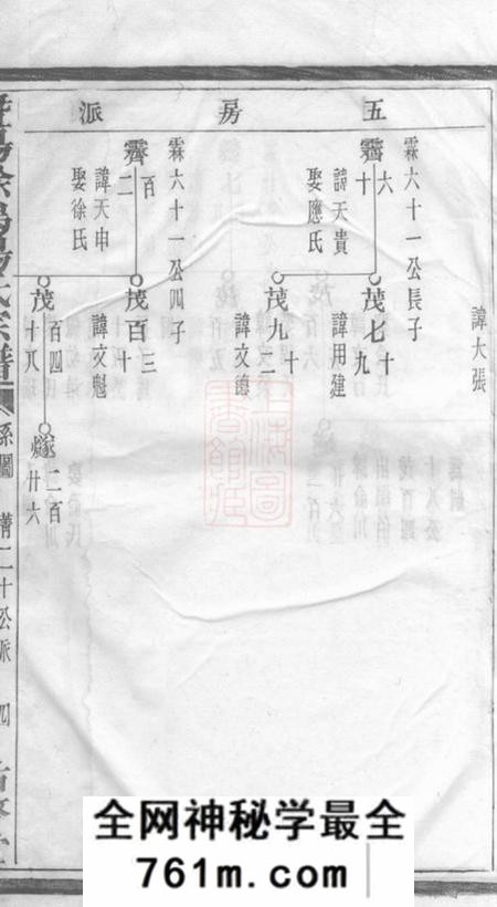 暨阳佑启堂暨阳徐坞杨氏宗谱不分卷