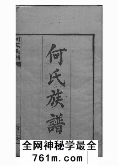 岳阳庐江堂岳阳坪桥河何氏族谱十卷