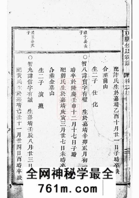 东阳东阳金氏宗谱