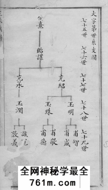 绍兴王氏族谱不分卷