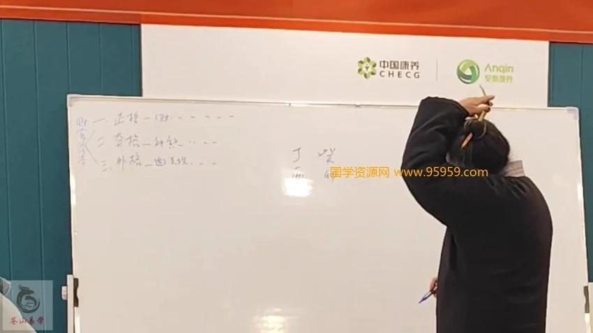苍燃《格局专题》视频18集