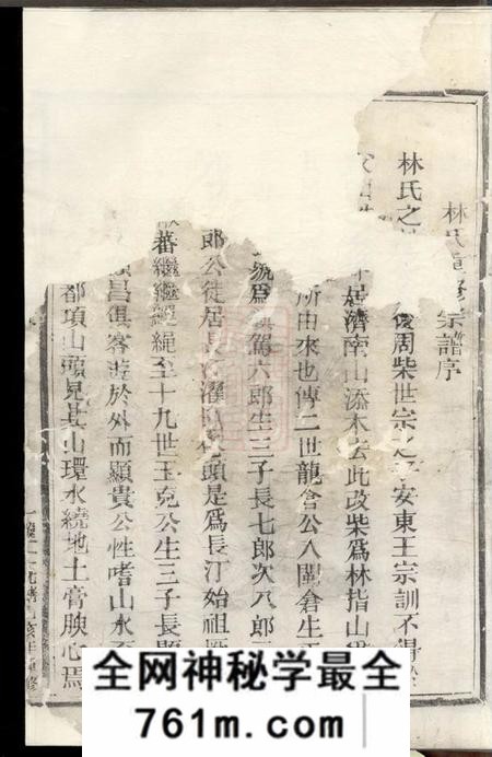 松阳济南林氏宗谱不分卷