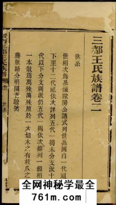 醴陵兴仁堂醴南三都王氏族谱