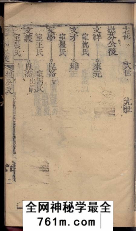 崇明杨氏家乘不分卷