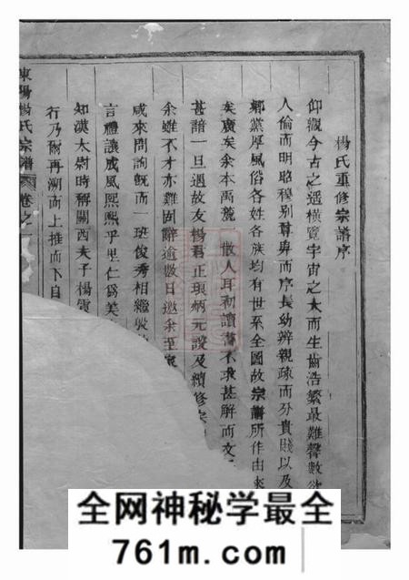 东阳东阳杨氏宗谱四卷