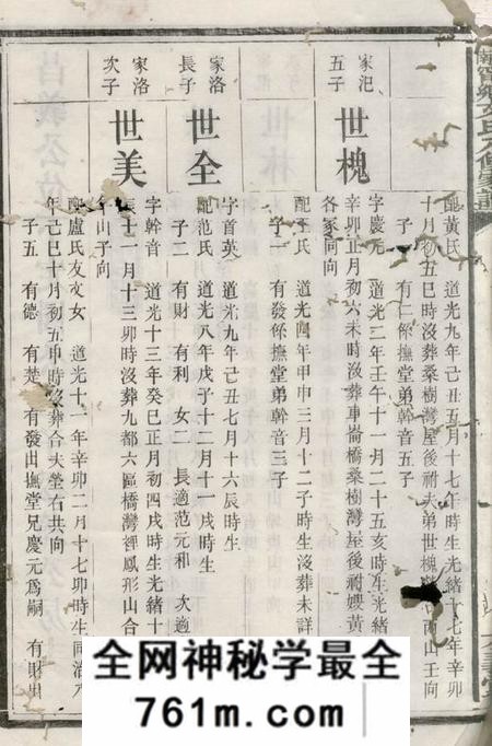 湖南六义堂湖南宁乡文氏八修家谱