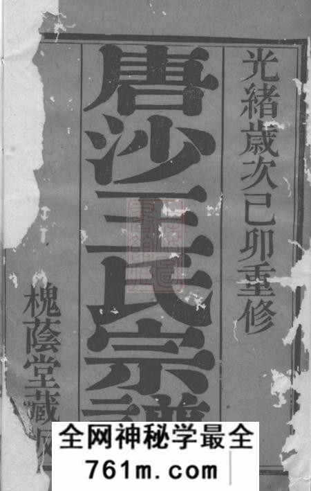 江阴槐荫堂唐沙王氏宗谱十二卷