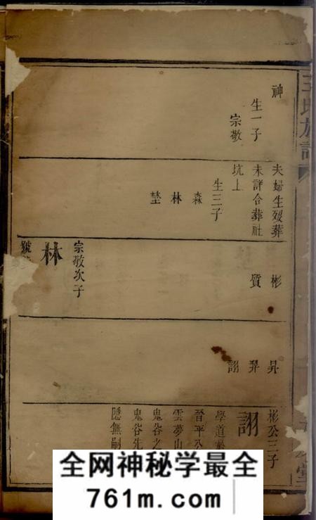 庐陵太原堂王氏族谱