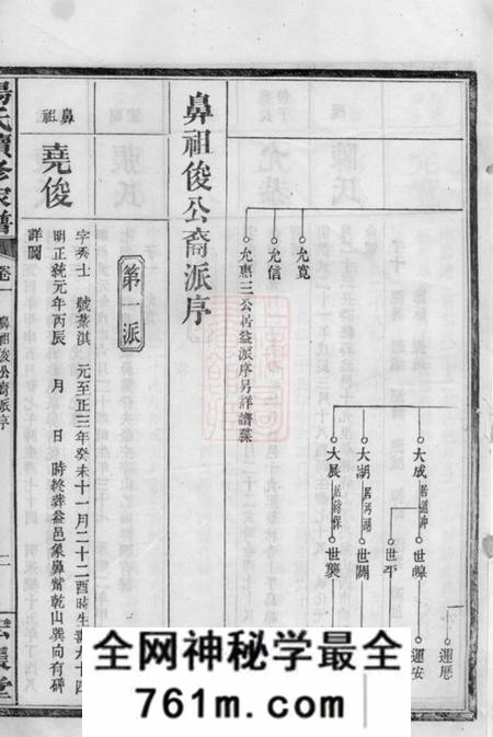 益阳宏农堂杨氏续修家谱