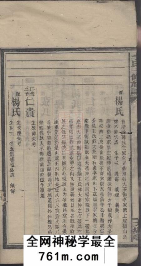 邵阳李氏三修族谱
