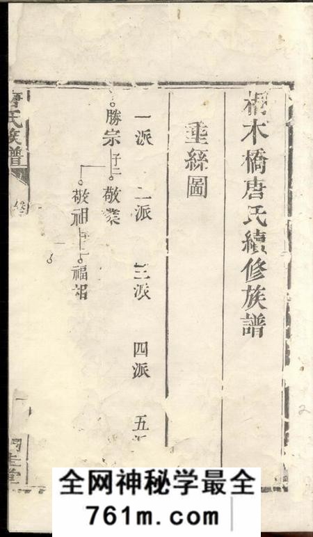 桐圭堂桐木桥唐氏续修族谱