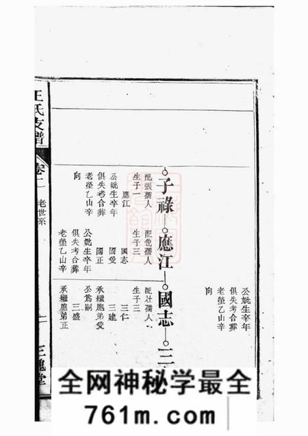 合肥三槐堂合肥王氏支谱
