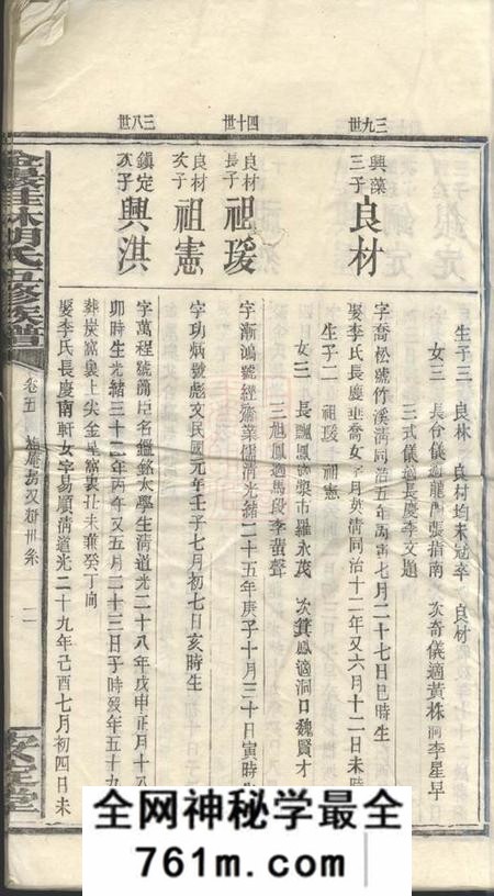 金岩安定堂金岩桂林胡氏五修族谱