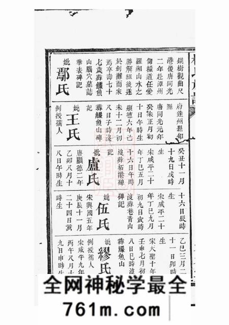 湘阴宏农堂杨氏族谱