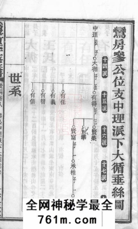 宁乡庐江堂沩宁何氏十一修族谱