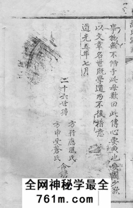 崇明胡氏世谱不分卷