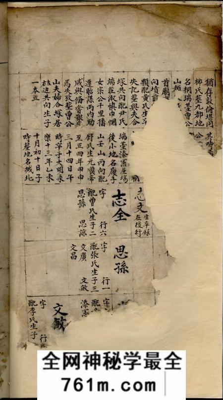 湘乡湘乡杨氏族谱不分卷