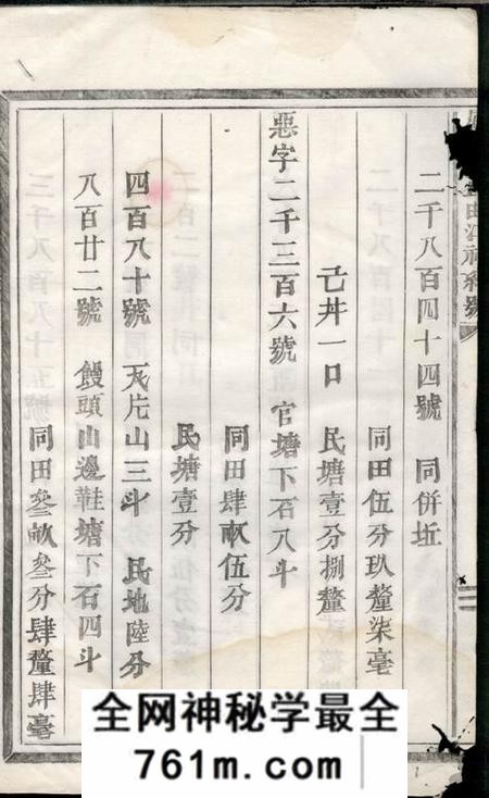 义乌凤林王氏曲江小谱不分卷