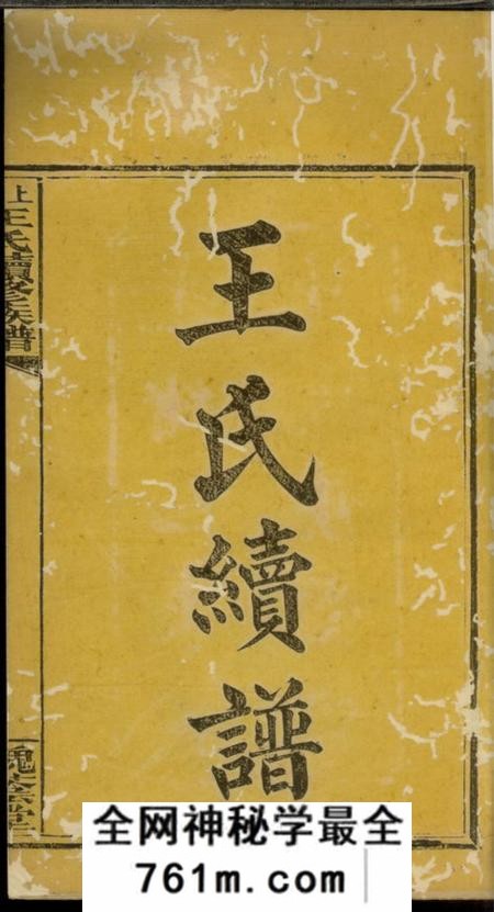 浏阳槐荫堂上湘龙塘王氏续修族谱十卷