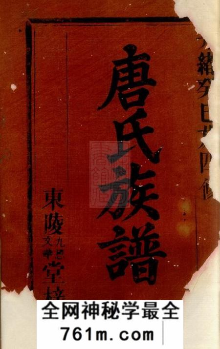 巴陵东陵堂东陵九思九华堂唐氏族谱十七卷