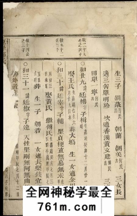 东阳鹿峰郑氏宗谱