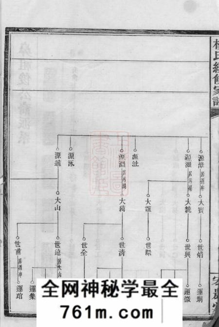 益阳宏农堂杨氏续修家谱