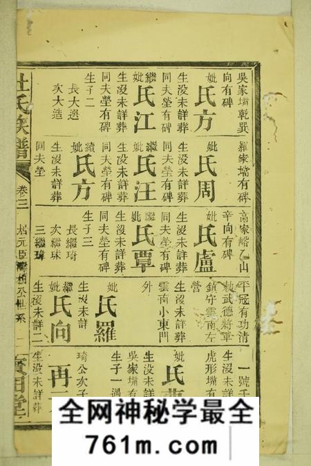 桃源宝田堂杜氏族谱